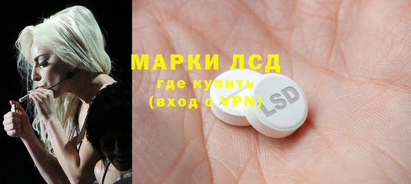 крисы Мегион
