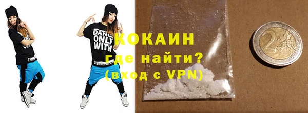 крисы Мегион