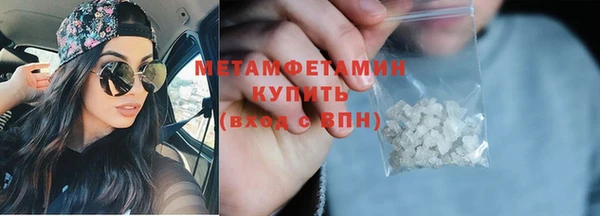 крисы Мегион