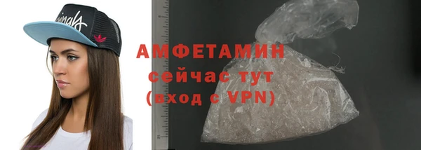 крисы Мегион