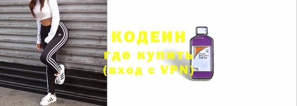 крисы Мегион