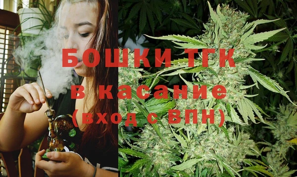 крисы Мегион