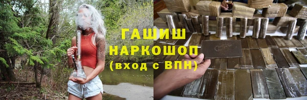 крисы Мегион