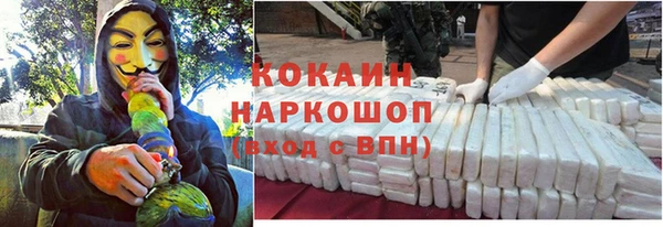 крисы Мегион